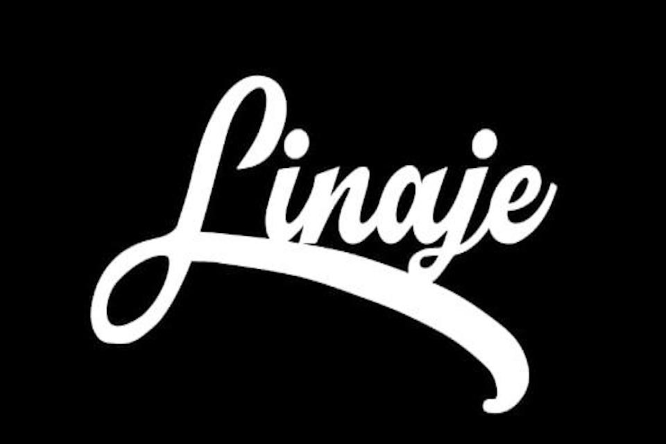 Company logo Linaje labs